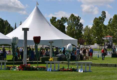 Summer Classic Dog Show at Spruce Meadows